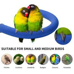 FrgKbTm claws grinding feature demonstrating natural beak and nail maintenance.
