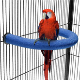 FrgKbTm U-shaped parrot perch blue in a space-saving cage setup for playful enrichment.