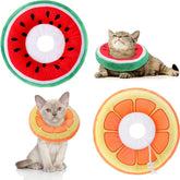 Frienda orange cat cone collar on a small cat for comfortable recovery