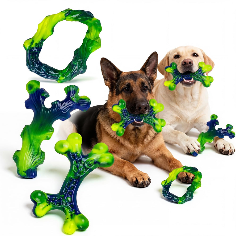 Frienhund indestructible nylon bone for large dogs, durable daily chew.