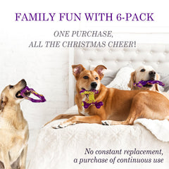 Frienhund upgraded shatter-resistant toy designed to outlast rubber alternatives.
