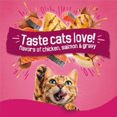 Friskies Gravy Swirlers 16lb bag showcases value and complete nutrition for cat meals.