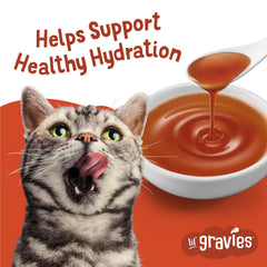 Friskies Lil' Gravies gravy topping on dry food for extra flavor.