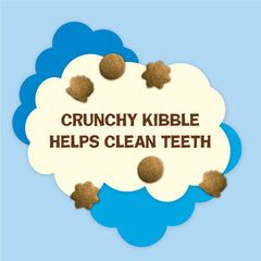 Friskies Natural Yums wild tuna cat snack bowl, tempting flavor.