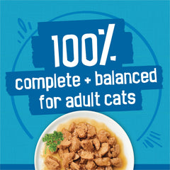 Friskies Tasty Treasures ocean fish tuna scallop close-up emphasizes rich seafood flavors.