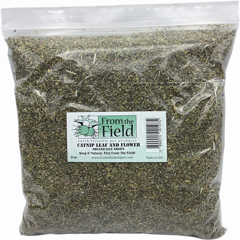 From The Field catnip bulk bag showing leaf and flower blend for aromatic play