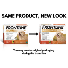 Frontline Gold application pipette image showing easy topical application on a small dog.