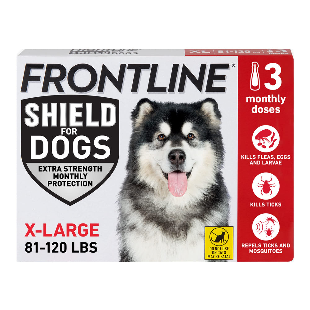 Frontline Shield bottle-application demonstrates easy, mess-free monthly protection for dogs.