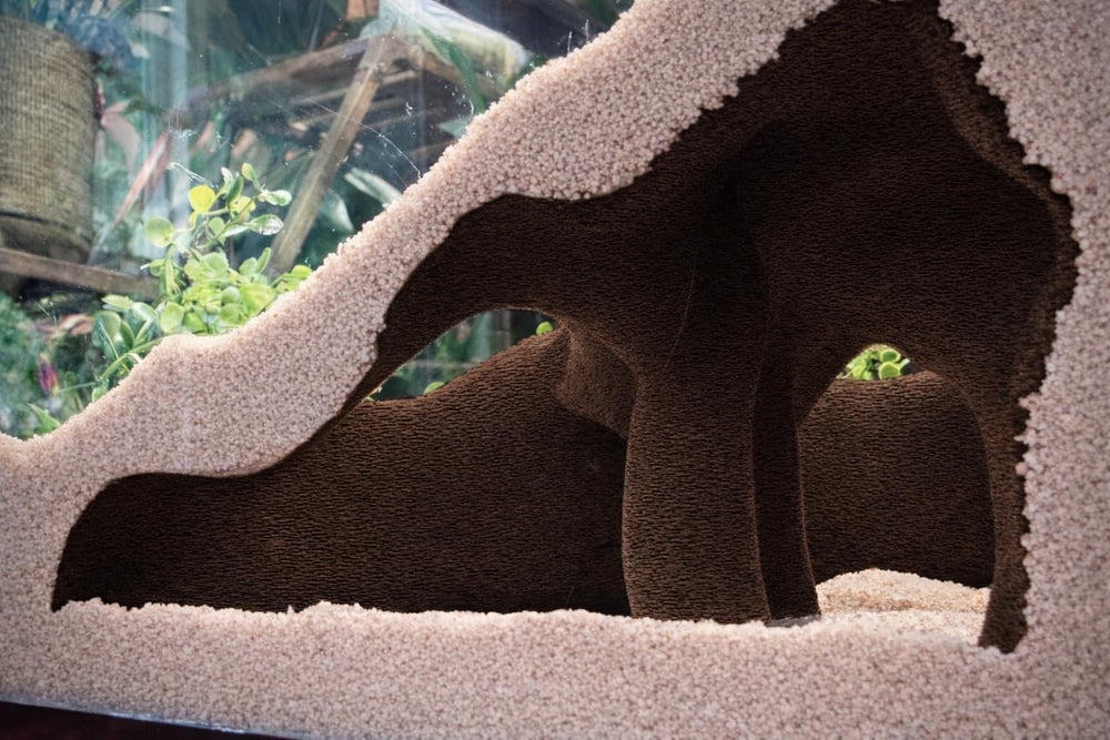 FROSTO aquarium corner underground cave with mangrove root for natural hiding.