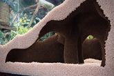 FROSTO aquarium corner underground cave with mangrove root for natural hiding.
