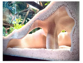 FROSTO corner mangrove root hideout in aquarium provides shelter for fish and shrimp