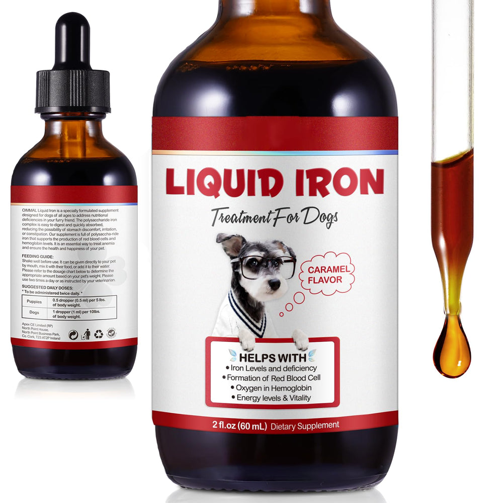 FSLHCY iron supplement for dogs bottle shows easy administration and iron support.