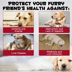FSLHCY liquid-iron-drops-dosing demonstrates precise dosing for daily pet care.