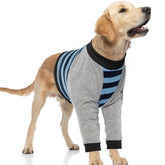 FUAMEY dog recovery sleeve with elbow protector shields front leg joints.