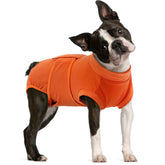 FUAMEY dog recovery suit back view shows full coverage and post-op protection