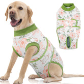 FUAMEY dog recovery suit worn by a dog post-surgery for wound protection and comfort.