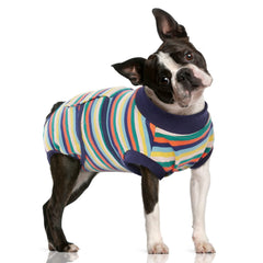 FUAMEY recovery suit on a dog after surgery, promoting comfortable recovery.