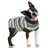 FUAMEY Recovery Suit worn on a dog’s back view showing secure fit