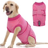 FUAMEY recovery suit on dog's back provides snug post-op protection