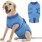 FUAMEY recovery suit on a dog after surgery, protecting the wound while allowing movement.