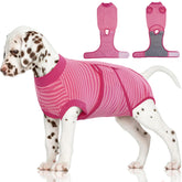 FUAMEY recovery suit on a dog demonstrating post-surgery comfort and flexibility.