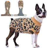 FUAMEY recovery suit on a dog, comfortable post-surgery protection with full mobility