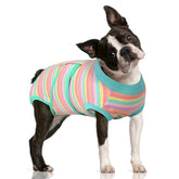 FUAMEY recovery suit for dogs after surgery protects wounds while promoting comfort