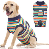 FUAMEY Recovery Suit on a post-op dog showing comfortable, secure fit.