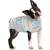 FUAMEY recovery suit for dogs in blue stripes supports post-op comfort and mobility