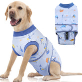 FUAMEY recovery suit for dogs post-op with comfortable fit supports gentle movement.