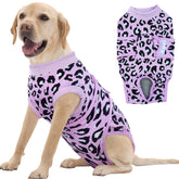 FUAMEY Recovery Suit for dogs with soft fabric and flexible fit