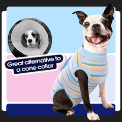 FUAMEY recovery suit worn by dog in relaxed pose, comfortable fit