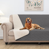Fuguitex waterproof dog bed cover protects sofas from spills and pet accidents.