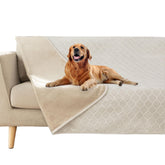 Fuguitex waterproof dog blanket on couch protects furniture from moisture and messes.