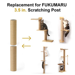 FUKUMARU two-pack refill box showing packaging and contents.