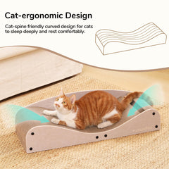 Cat lounging on the bed demonstrates extra-long space for multiple cats