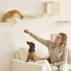 FUKUMARU cat wall bed provides a cozy resting nook for quick cat naps.