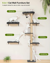 FUKUMARU cat wall bed provides a cozy resting spot after playtime.