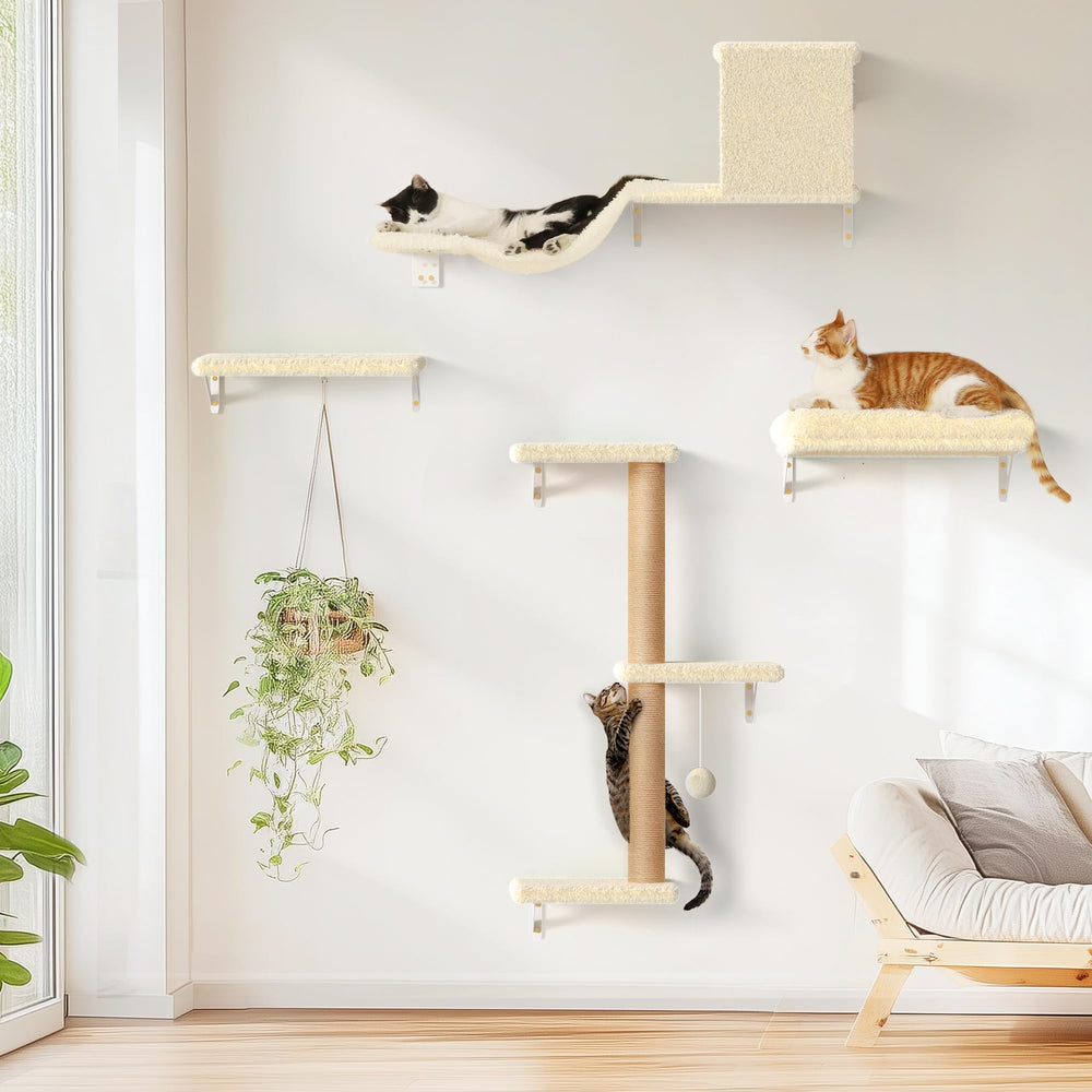 FUKUMARU cat wall shelves offer a stable, durable climbing setup for curious cats.