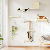 FUKUMARU cat wall shelves offer a stable, durable climbing setup for curious cats.
