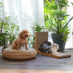 FUKUMARU wall-mounted option reduces floor clutter for apartments.