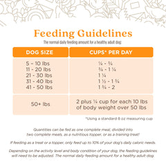 Ingredients close-up highlights US-sourced beef and grain-free formula for quality nutrition.