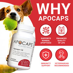 Functional Nutriments Apocaps CX label shows citrus bioflavonoids and turmeric.