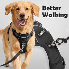 Funfox harness with no-pull front clip guiding dogs away from pulling.
