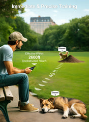 FunniPets collar on dog demonstrates secure fit and comfortable training experience