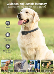FunniPets two-dogs setup with separate channels for precise corrections using a single remote