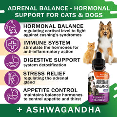 FurFinds Adrenal Balance drops-dispense enables quick absorption for faster relief
