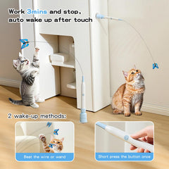 Indoor cat play setup using FurFitFun wand toy with a secure base.