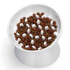 FurFlasher elevated tilted cat bowl supports comfortable eating posture.