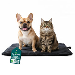 FurHaven ThermaNAP self-warming cat mat in crate provides cozy rest.